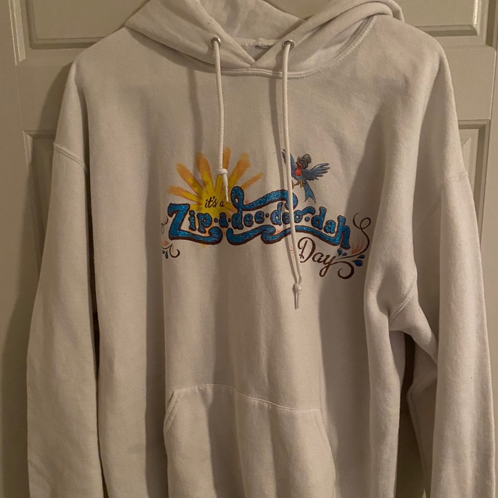 Disney Parks Splash Mountain hooded sweatshirt
